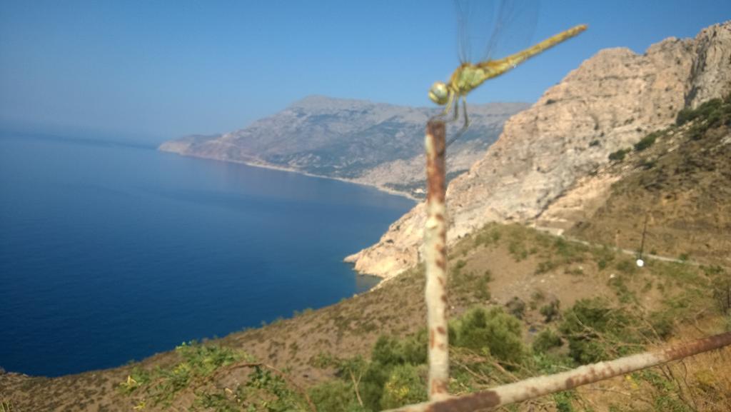 Ikaria Studios Manganítis المظهر الخارجي الصورة
